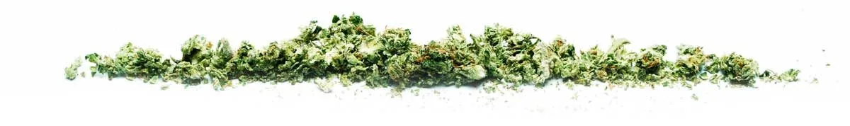 | Massachusetts Green Retail Inc.
